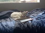 Instant Life Captured Eternity Photo Dump)