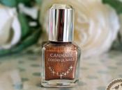 Review: Canmake Colorful Nails Sandy Brown