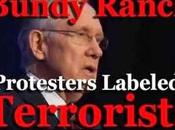 ‘Domestic Terrorist’ Domestic Enemy Harry Reid