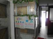 Cosmic Guest House Review Where Stay Hong Kong Budget