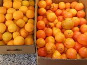 Orangey Marmaladey Goodness!