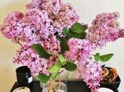 Bring Lilacs into House?