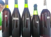 Blending Whitecliff Vineyard Winery's 2013 Island