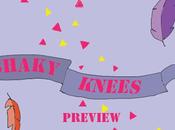 Shaky Knees Music Fest 2014 Preview