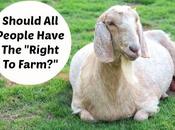 Should People Have “Right Farm?”