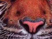 Hyper Realistic Illustrations Using Ballpoint Pens