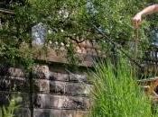 Lyth Euphrates: Benthic Lines