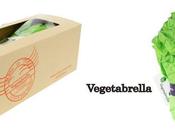 Vegetabrella Some Spring Rain