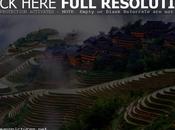 Longji Rice Terrace