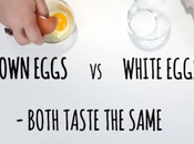 What’s Difference Between Brown White Eggs?