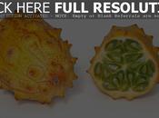 Horned Melon Cucumis Metuliferus