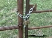 Mighty Mouse: Rare Rodent Raises Tensions Over Water Access