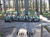 Forest Segways Cannock Chase