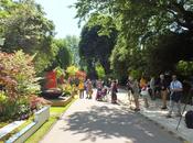 Chelsea 2014 Artisan Gardens