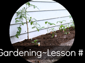 Gardening Lesson