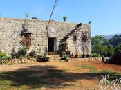 L’UniVert Leah: Planted with Love, Watered Passion