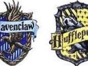 Which Hogwarts House Belong?