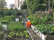 USDA Doles Grants People’s Gardens