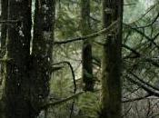 Head Back Studio Record Follow-up Their Massively Successful Ripple Debut, "Trails Gloom"