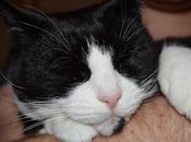 Wordless Wednesday That Owns Paw!