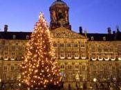 Amsterdam Lights Holidays