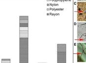 Arctic Melt Will Release About 100,000,000,000,000 Particles Plastic