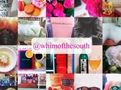 {Whim South Mini Moments}