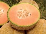 Honoring Justin Timberlake... with Cantaloupe