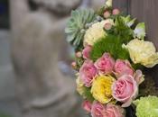 Just More 2014 Chelsea Flower Show