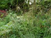 Garden This Weekend 26th 2014