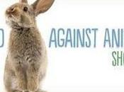 Woke This Morning Ready