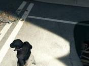 Watch: Watch Dogs Video Compares Game Detailing
