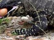 Man's Easy Another Woman's Tempo