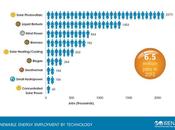 IRENA: People Employed Renewable Energy Worldwide