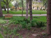 SUCCESS Guerrilla Gardening Neighbour's Yard