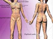 Lymphatic Drainage Therapy