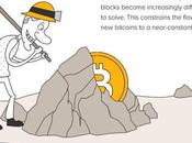 Simple Infographic Details Basics Bitcoin