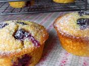 Blueberry Maple Corn Muffins