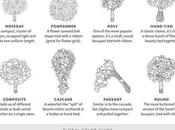 Favorite Floral Guides