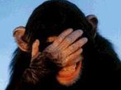 Very First Ever Blonde Joke….. Well Worth Wait!