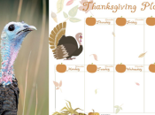 Becoming Anti-Fragile