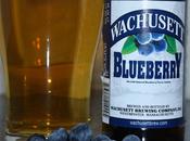 Beer Review Wachusett Blueberry