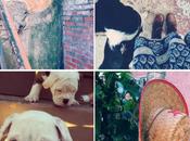 Instagram Lately: It’s Fine.