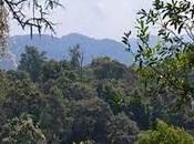 Rwanda: Govt Monitor Greenhouse Emissions (Page