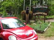 Going Most Favorite Place States. Week.