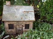 Garden Tour #SaturdaySnapshot