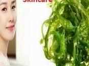 Natural Japanese Skincare This Secret Ingredient Comes From