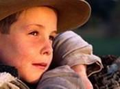 Meanwhile Down Farm.