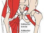 Psoas Muscle Yoga (Rerun)