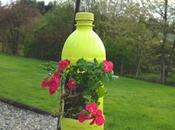 Bottle Planter